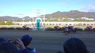 DSC02926.JPG
