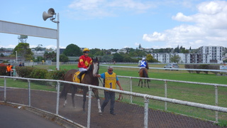 DSC03927.JPG