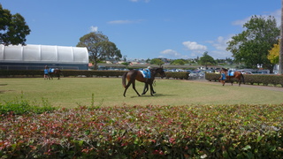 DSC03960.JPG