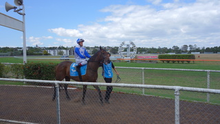 DSC03980.JPG
