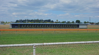 DSC03988.JPG