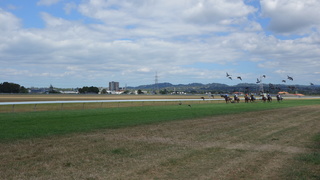 DSC03997.JPG