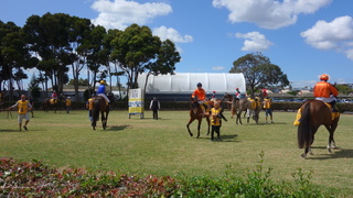 DSC04024.JPG