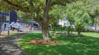 DSC04302.JPG