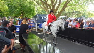 DSC04345.JPG