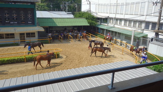 DSC05422.JPG