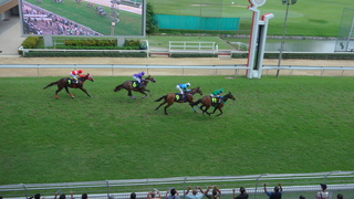 DSC05432.JPG