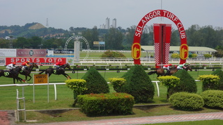 DSC09686.JPG