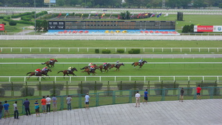 DSC09719.JPG