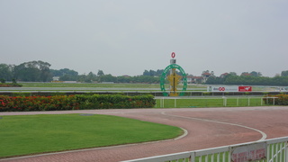 DSC09839.JPG