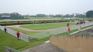 DSC09847.JPG