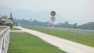DSC09890.JPG
